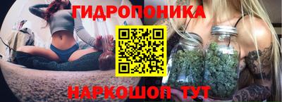 каннабис Кингисепп